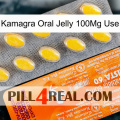 Kamagra Oral Jelly 100Mg Use new05